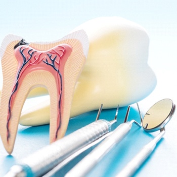 A cross-section of a tooth, showing its inner layers and nerve system, and several dental instruments lying nearby